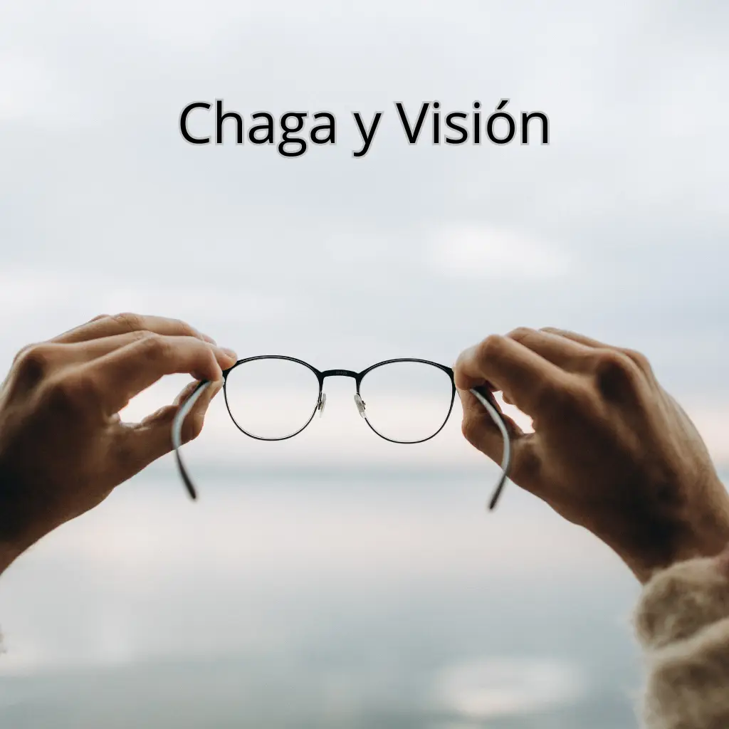Chaga salud ocular