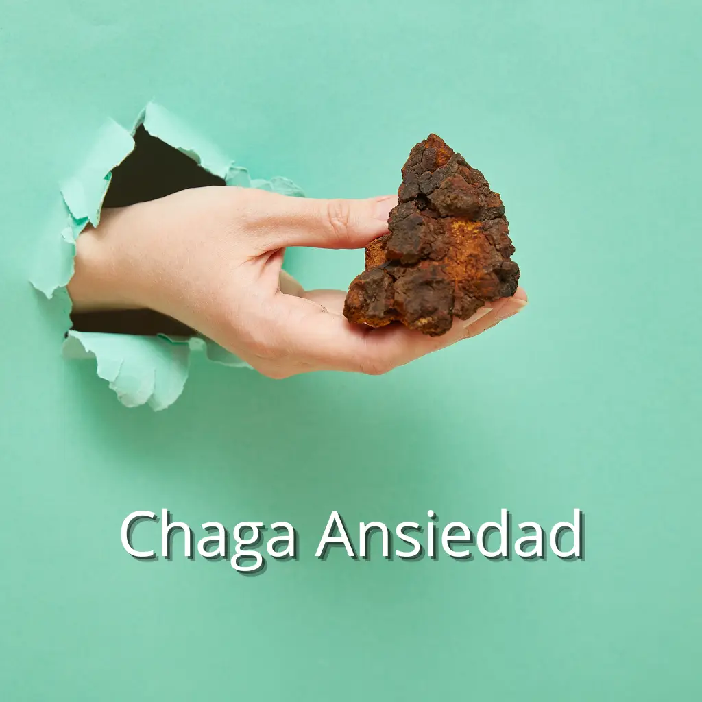 Chaga ansiedad