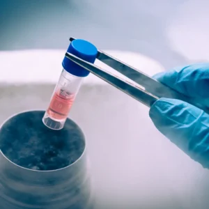 células madre salud cerebral