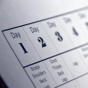 autismo inicio de año